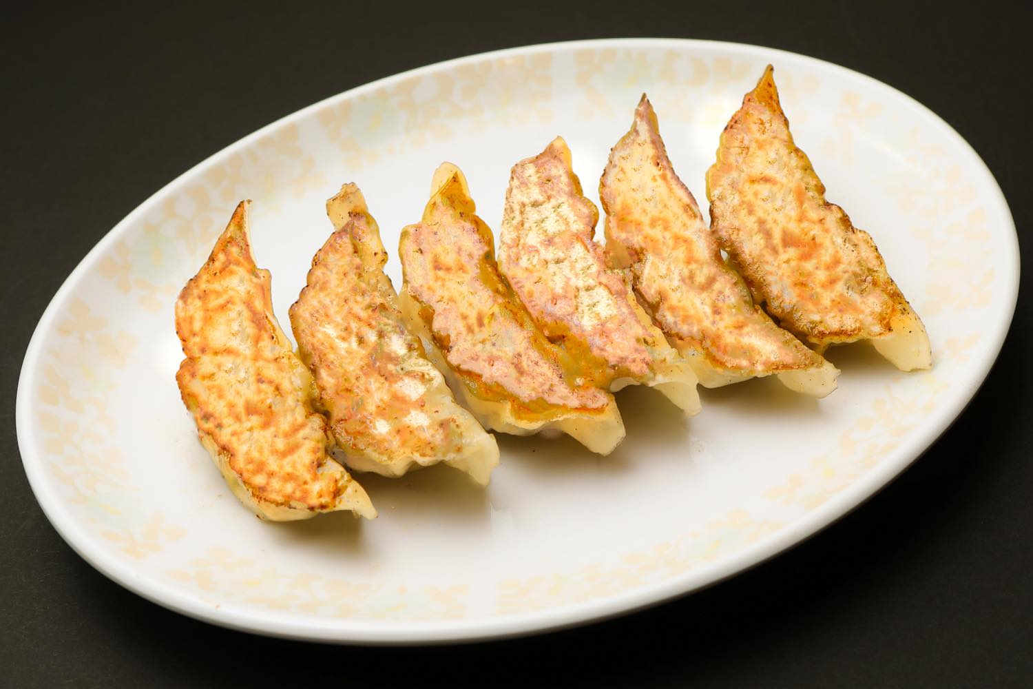 _re_tanpin_gyouza03 ギョーザ